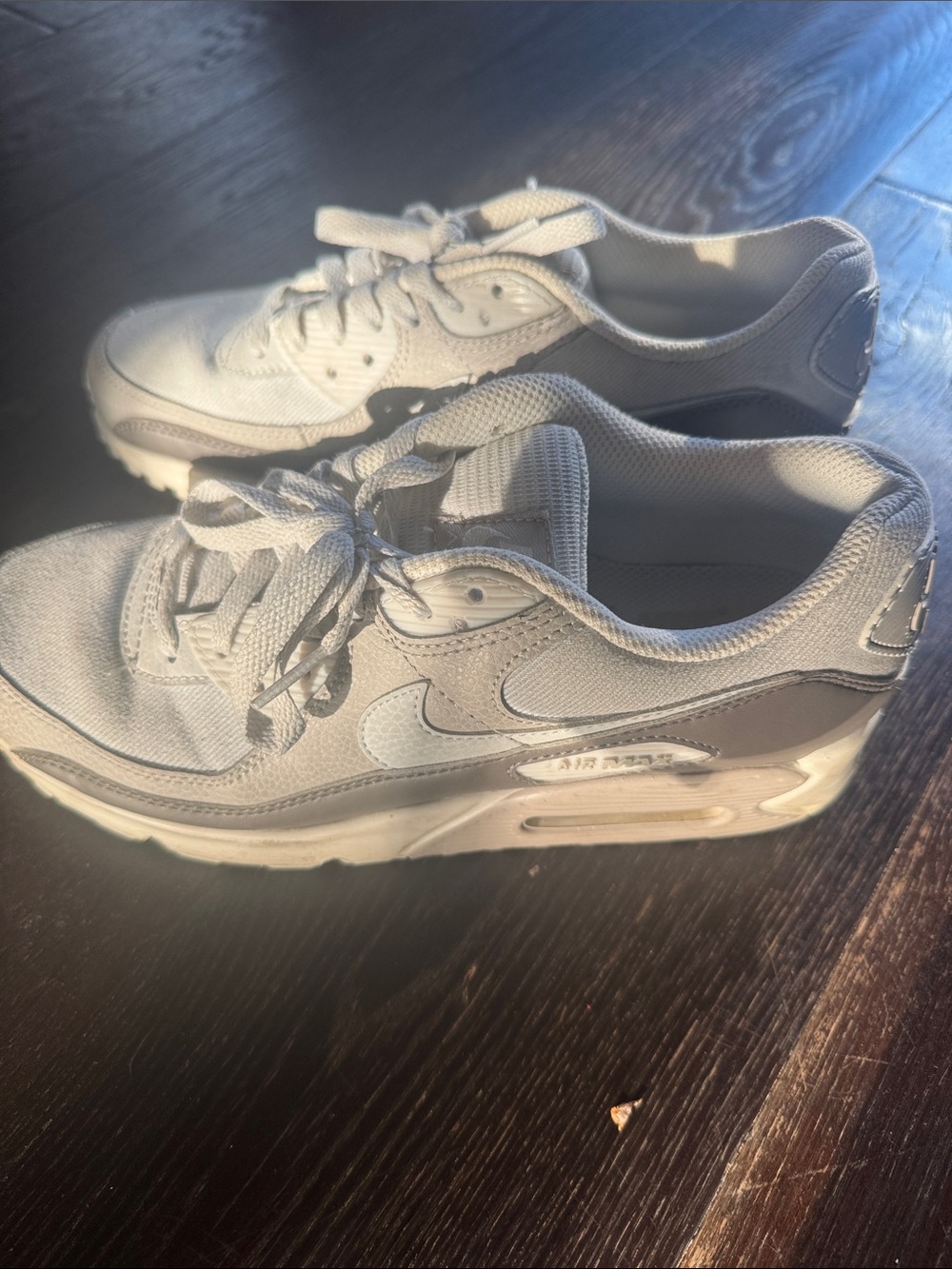 Nike Air Max